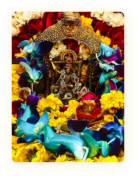 pandit-photo-4GWjJBt4 3