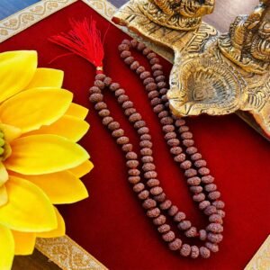 Shree bagla abhishek siddh navmukhi rudraksh mala
